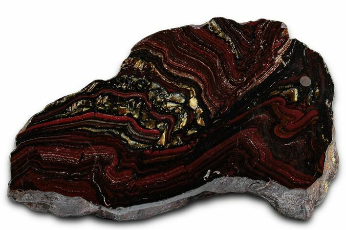 Polished Tiger Iron Stromatolite Section - Billion Years #353248